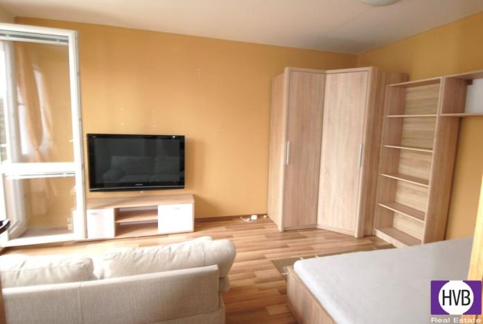 Pronájem bytu 1+1, Písek, Dr. M. Horákové, 37 m2