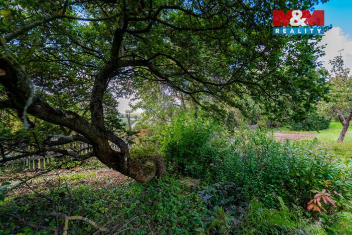 Prodej chaty, Nové Město na Moravě, 28 m2