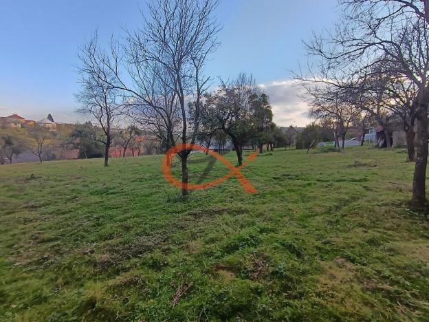 Prodej rodinného domu, Ostrata, 154 m2