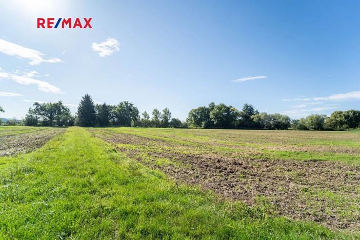 Prodej zemědělské usedlosti, Vrdy, Jiráskova, 363 m2