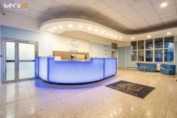 Pronájem obchodního prostoru, Brno, Kobližná, 395 m2