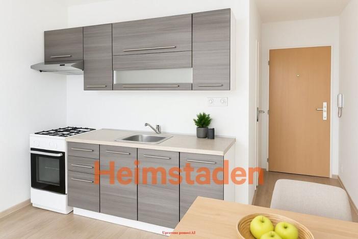 Pronájem bytu 1+1, Frýdek-Místek - Frýdek, Nad Mostárnou, 35 m2