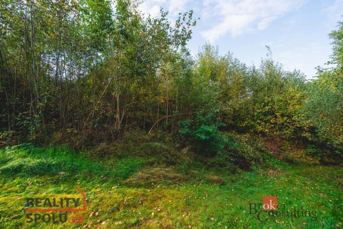 Prodej pozemku pro bydlení, Železná Ruda, 607 m2