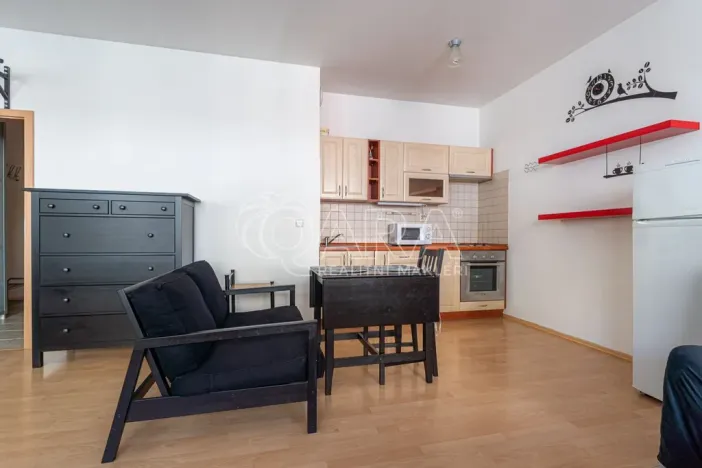 Pronájem bytu 1+kk, Praha - Motol, Kudrnova, 44 m2