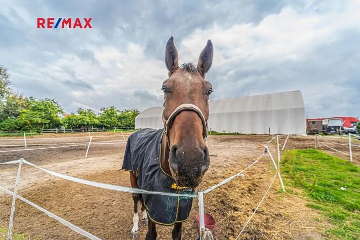 Prodej zemědělské usedlosti, Chlumín, 740 m2