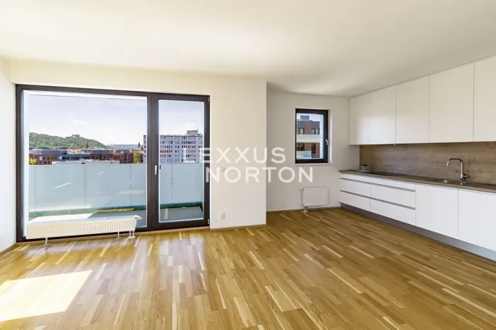 Pronájem bytu 2+kk, Praha - Karlín, Nekvasilova, 60 m2