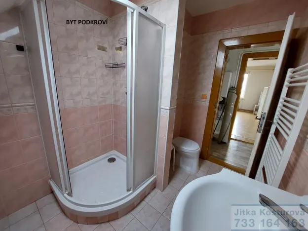 Prodej rodinného domu, Krnov - Pod Bezručovým vrchem, Albrechtická, 300 m2