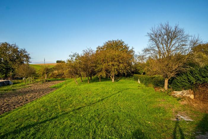 Prodej pozemku, Pitín, 768 m2