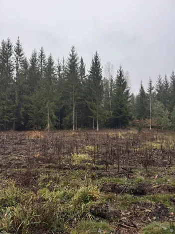 Prodej pozemku, Veliny, 50855 m2