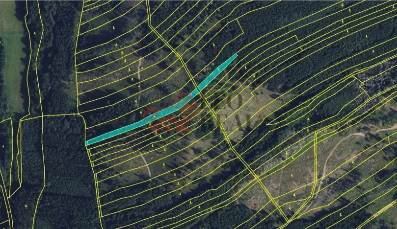 Prodej lesa, Městečko Trnávka, 33528 m2