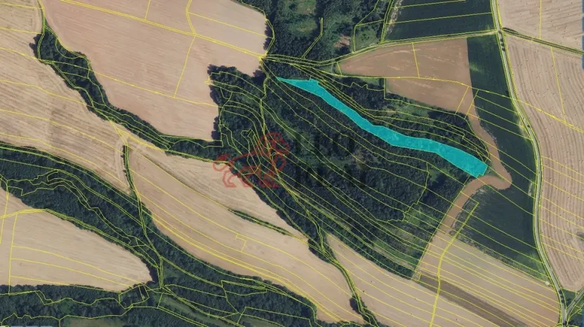Prodej lesa, Městečko Trnávka, 33528 m2