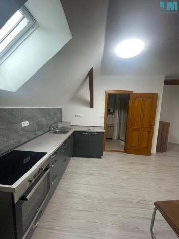 Pronájem bytu 1+kk, Moravské Budějovice, 47 m2