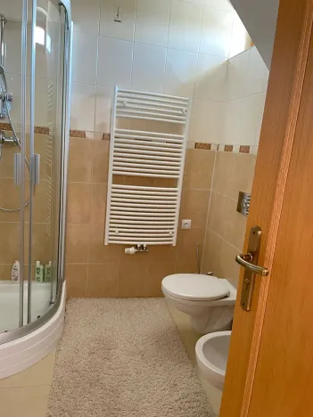 Prodej rodinného domu, Karlovy Vary, 320 m2