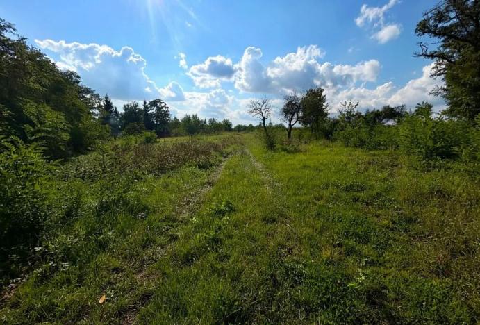 Prodej pozemku pro bydlení, Krušovice, 1250 m2