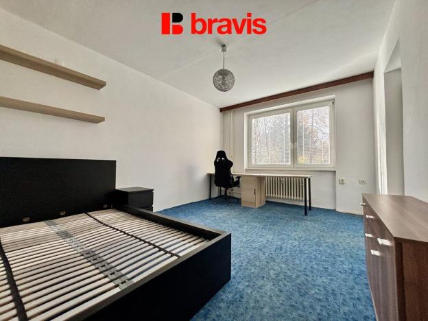 Pronájem bytu 1+1, Brno, Palackého třída, 26 m2