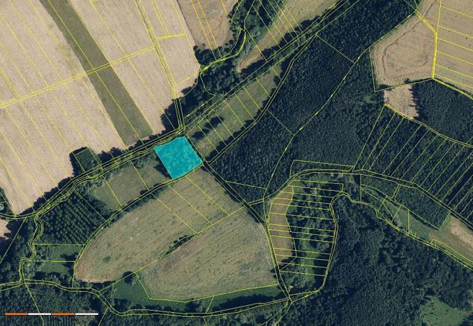 Prodej pole, Sobíšky, 42910 m2