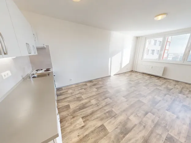 Pronájem bytu 1+kk, Ostrava - Dubina, Jana Maluchy, 32 m2