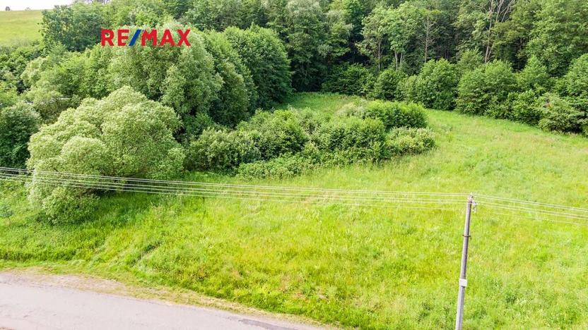 Prodej pozemku pro bydlení, Nový Bor, 2529 m2