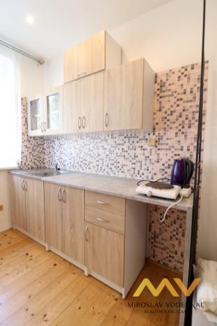 Pronájem bytu 1+kk, Hradec Králové - Plácky, Maxe Malého, 38 m2