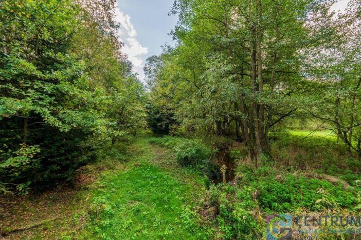 Prodej chaty, Lázně Bělohrad - Hřídelec, 20 m2