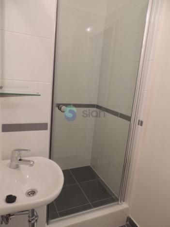 Pronájem bytu 1+1, Ostrava - Výškovice, Proskovická, 40 m2