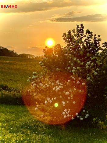 Prodej zemědělské usedlosti, Uhelná Příbram, 300 m2