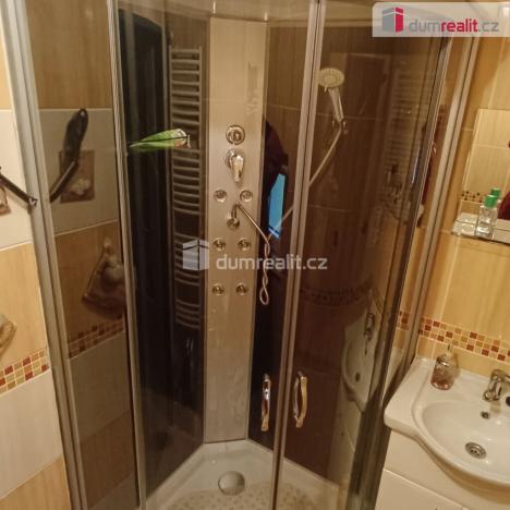 Prodej rodinného domu, Růžová, 110 m2