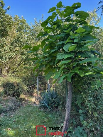 Prodej chaty, Olomouc - Droždín, 80 m2