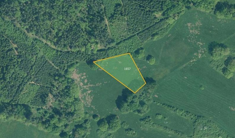 Prodej pole, Mirotice, 80693 m2