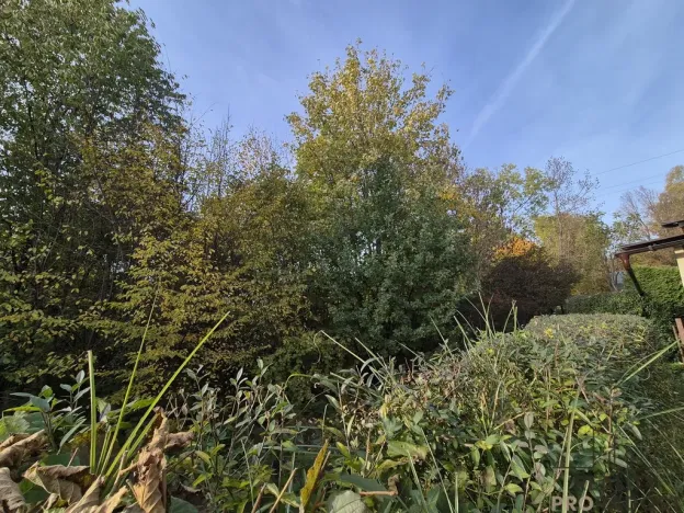 Prodej chaty, Třinec, Kaštanová, 30 m2