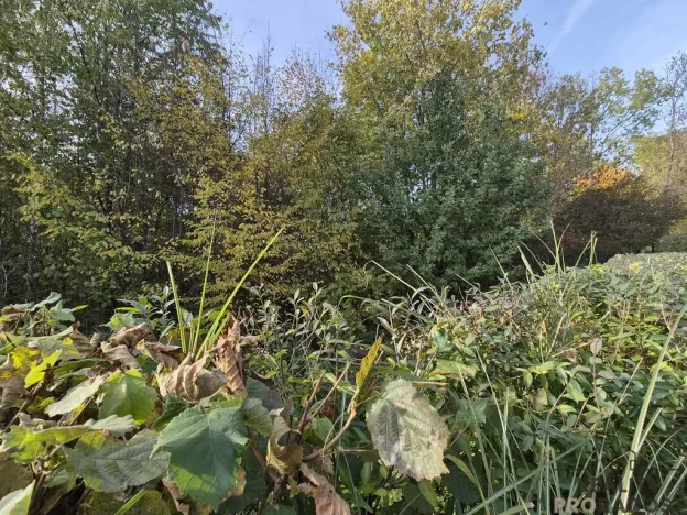 Prodej chaty, Třinec, Kaštanová, 30 m2