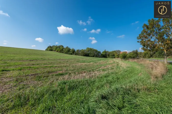 Prodej pozemku pro bydlení, Tachlovice, Mlýnská, 16910 m2