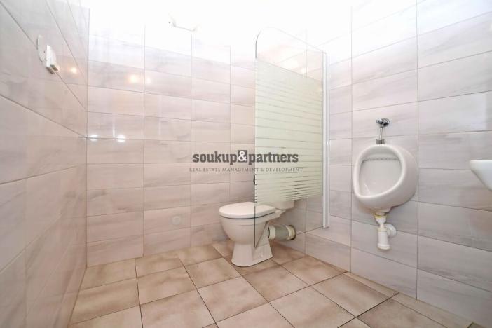 Pronájem kanceláře, Praha - Malá Strana, Prokopská, 205 m2