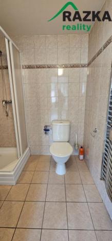 Pronájem bytu 1+kk, Tachov, Rokycanova, 24 m2