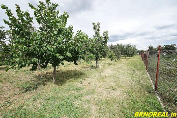 Prodej rodinného domu, Nová Ves, 200 m2