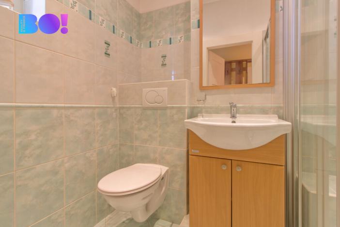 Pronájem bytu 2+kk, Mladá Boleslav, Janáčkova, 54 m2