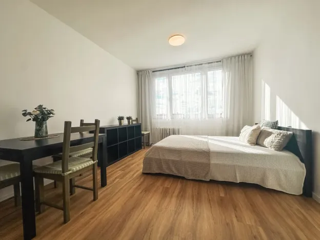 Pronájem bytu 1+kk, Praha - Michle, Bítovská, 25 m2