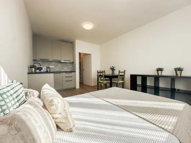 Pronájem bytu 1+kk, Praha - Michle, Bítovská, 25 m2