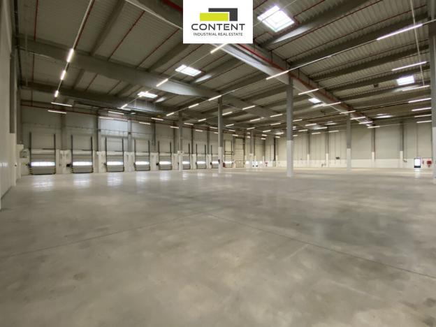 Pronájem skladu, Plzeň - Černice, K Cihelnám, 5808 m2