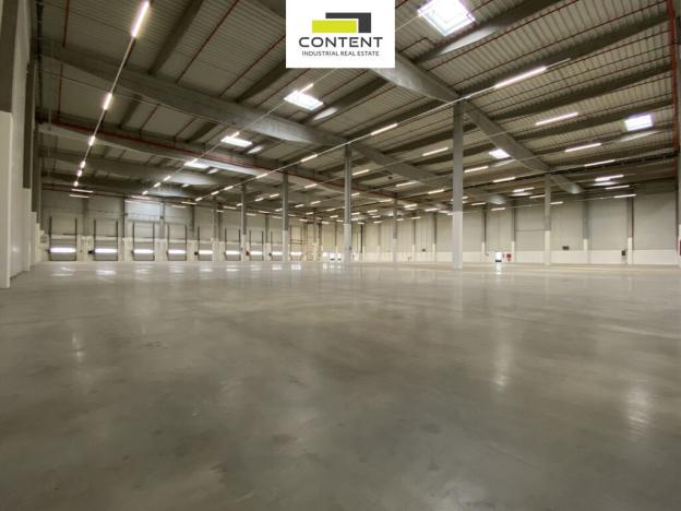 Pronájem skladu, Plzeň - Černice, K Cihelnám, 5808 m2