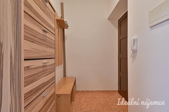 Pronájem bytu 1+kk, Brno, Celní, 33 m2