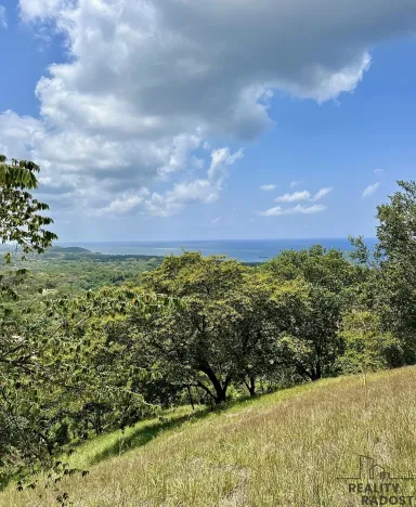 Prodej pozemku pro bydlení, José Santos Guardiola,, Honduras, 740 m2