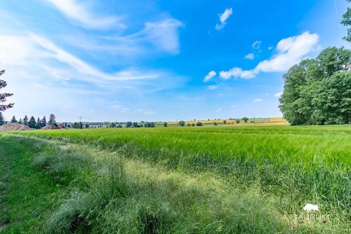 Prodej pozemku pro bydlení, Chodouň, 6455 m2