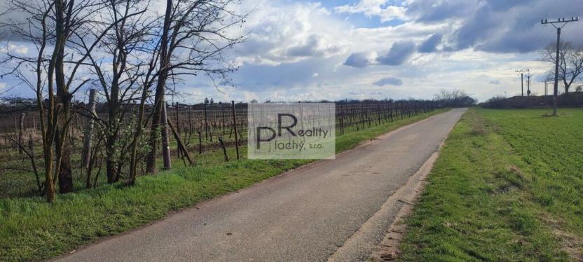 Prodej sadu/vinice, Drnholec, 550 m2