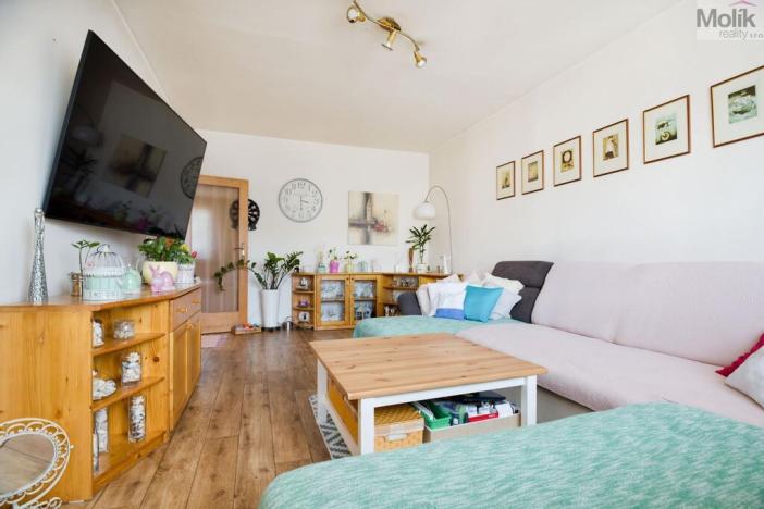 Pronájem bytu 3+1, Ústí nad Labem - Neštěmice, Opletalova, 80 m2