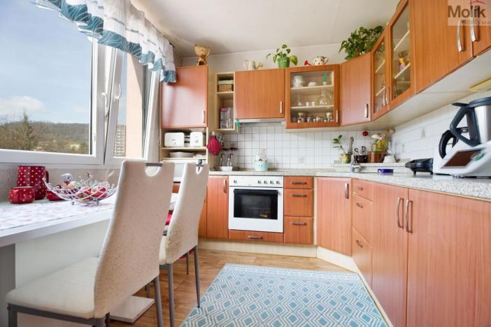 Pronájem bytu 3+1, Ústí nad Labem - Neštěmice, Opletalova, 80 m2