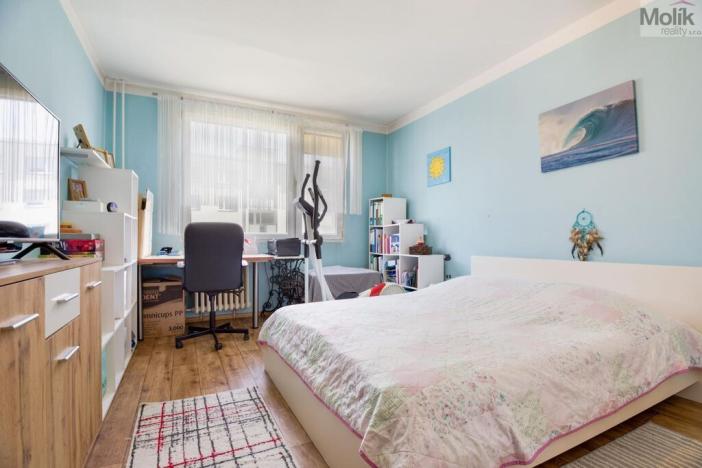 Pronájem bytu 3+1, Ústí nad Labem - Neštěmice, Opletalova, 80 m2