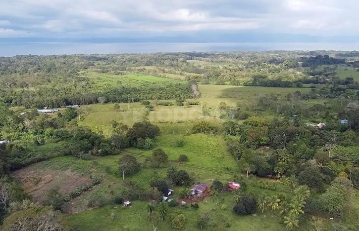 Prodej pozemku pro bydlení, Puerto Jiménez, Kostarika, Calle Los Pollos, 8924 m2