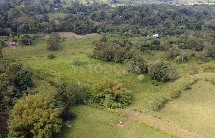 Prodej pozemku pro bydlení, Puerto Jiménez, Kostarika, Calle Los Pollos, 8924 m2