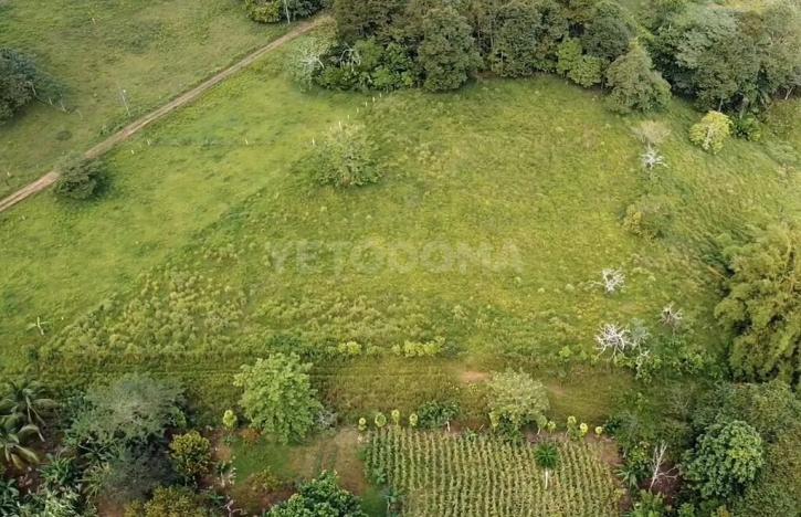 Prodej pozemku pro bydlení, Puerto Jiménez, Kostarika, Calle Los Pollos, 8924 m2